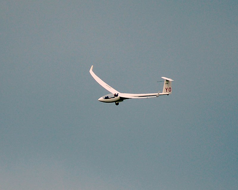 DSC_82991.jpg