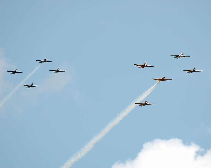 DSC_8321.jpg