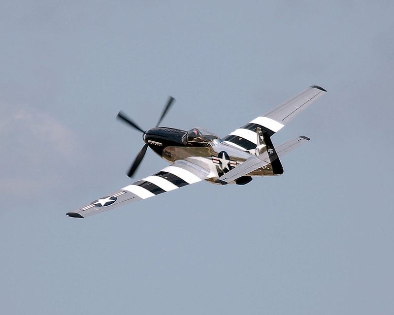 DSC_83331.jpg