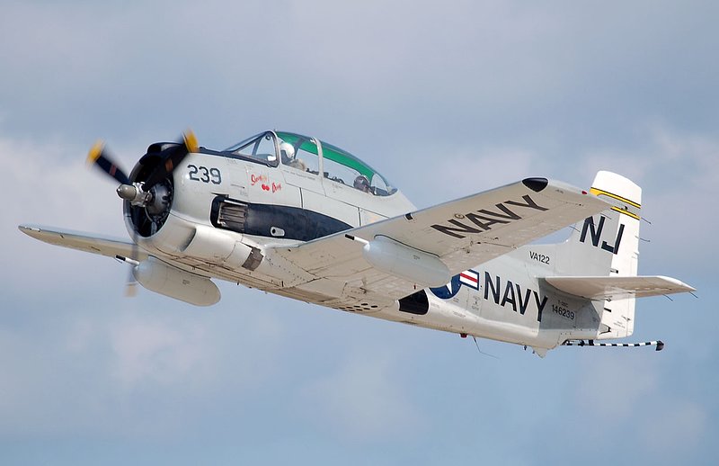 DSC_8338.jpg