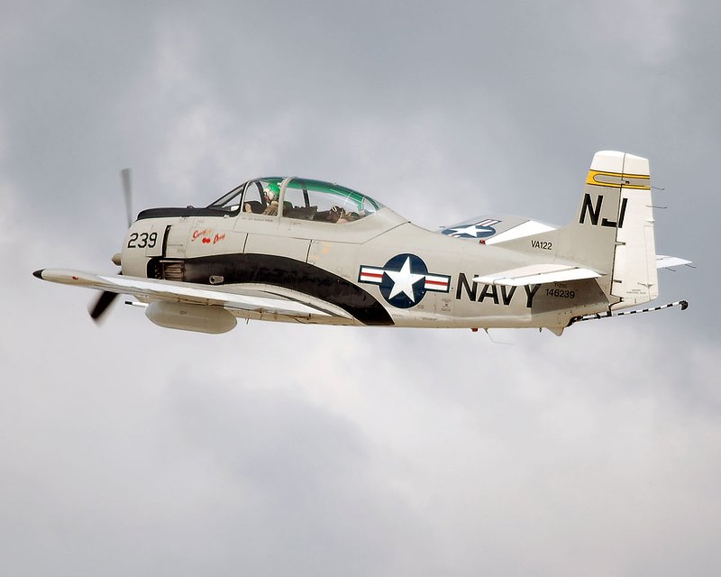 DSC_8339.jpg