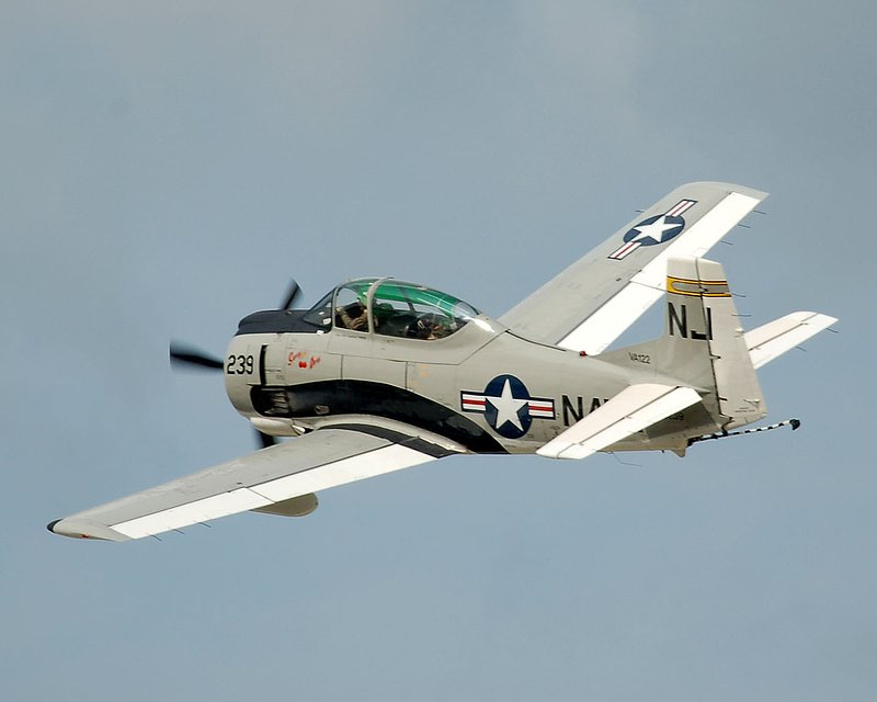 DSC_8340.jpg