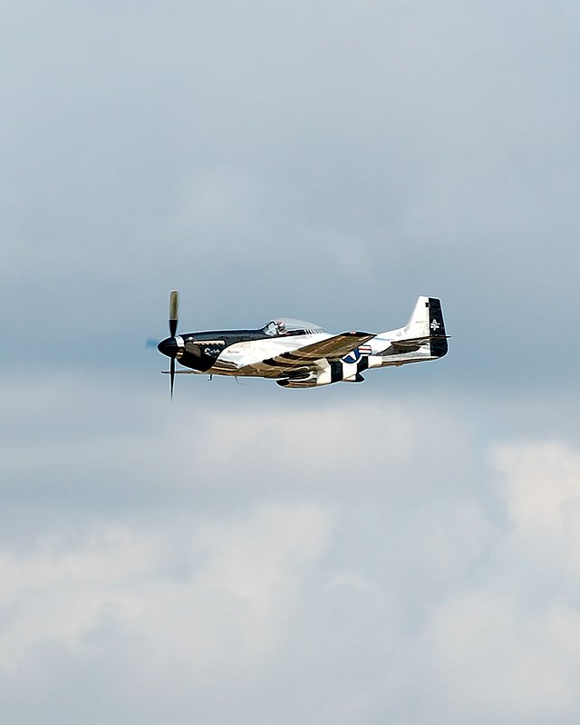DSC_8341.jpg