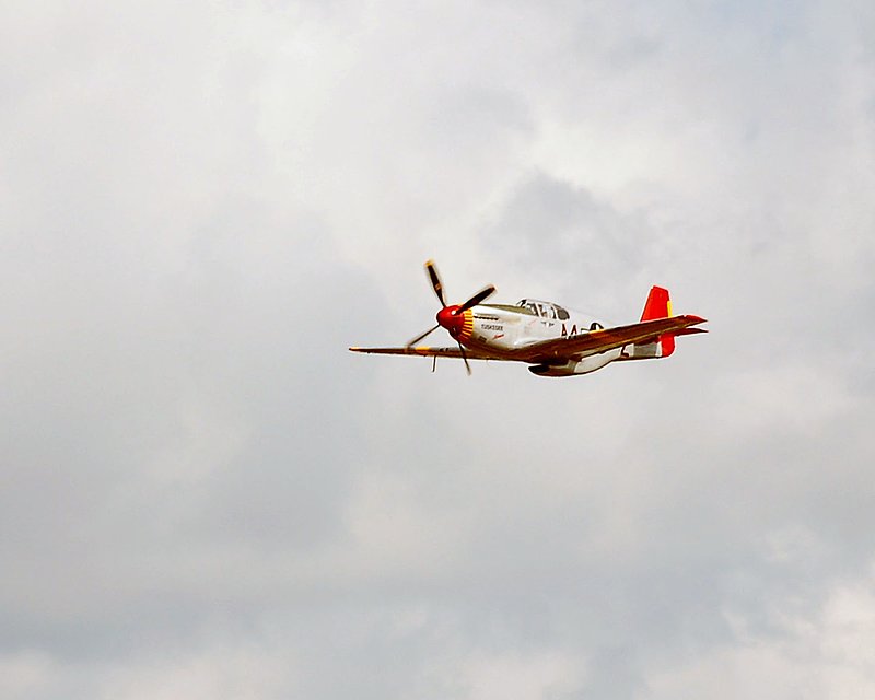 DSC_8343.jpg