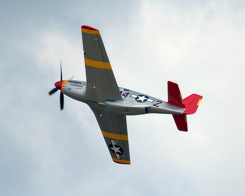 DSC_8345.jpg