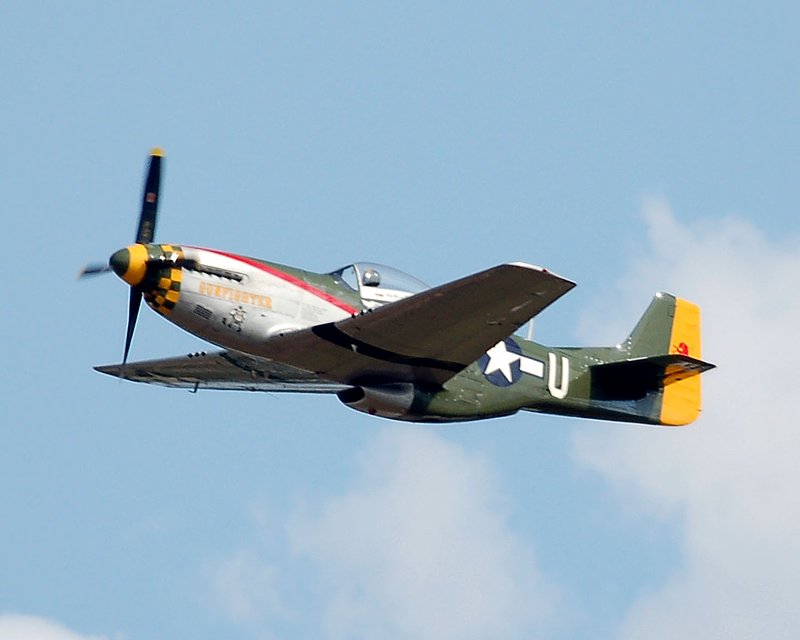 DSC_8347.jpg