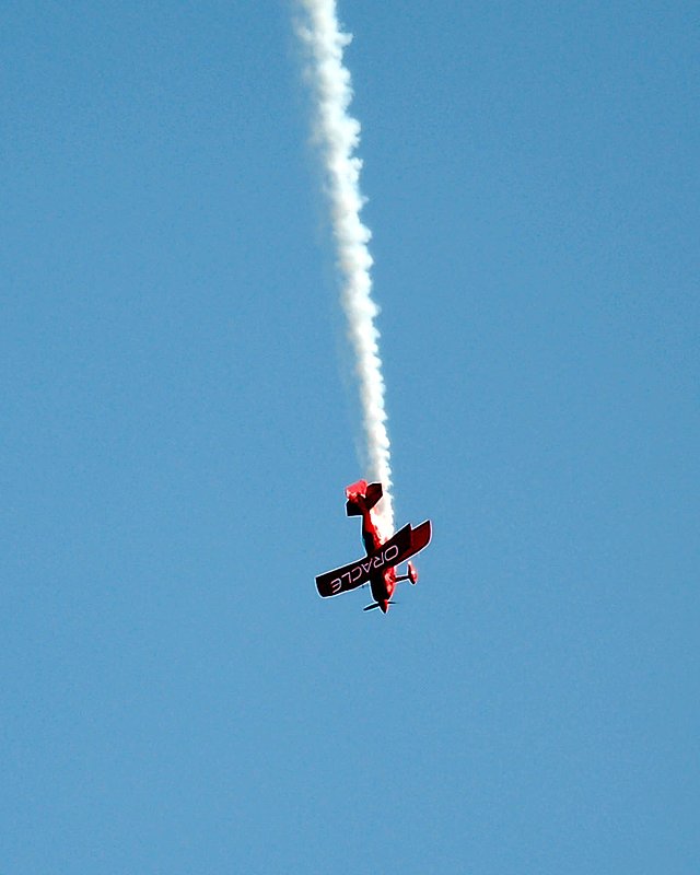 DSC_8368.jpg