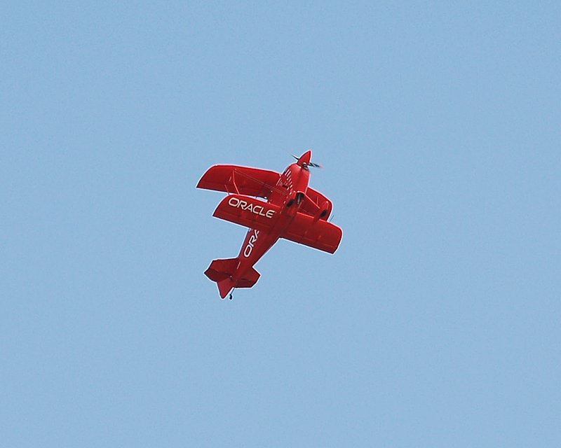 DSC_83811.jpg