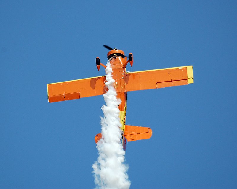 DSC_8391.jpg