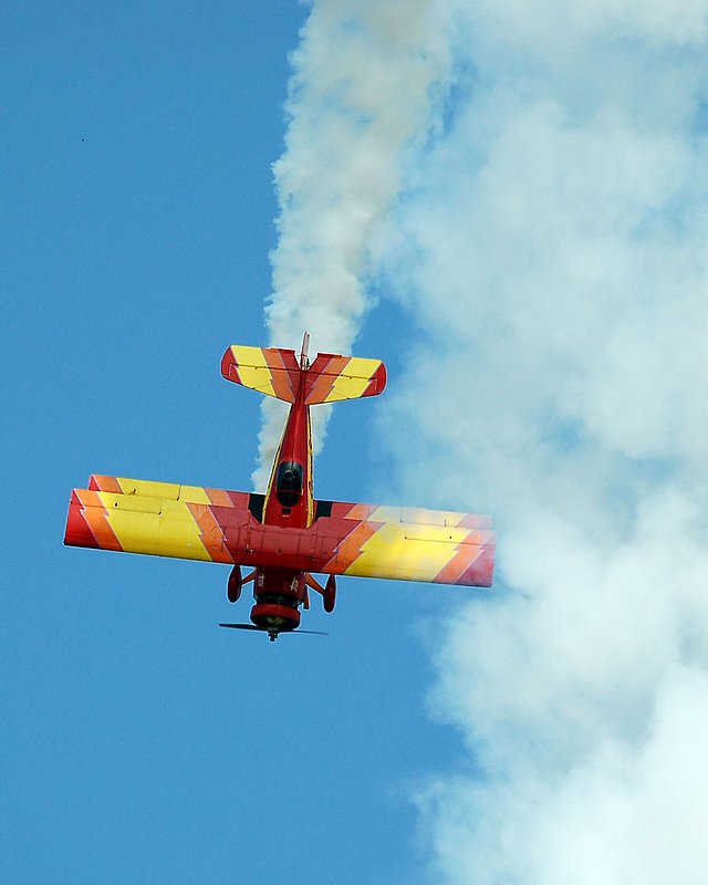 DSC_8393.jpg
