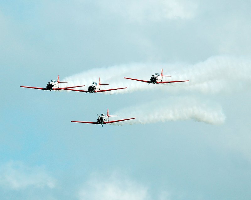 DSC_8422.jpg
