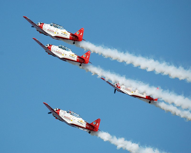 DSC_84241.jpg