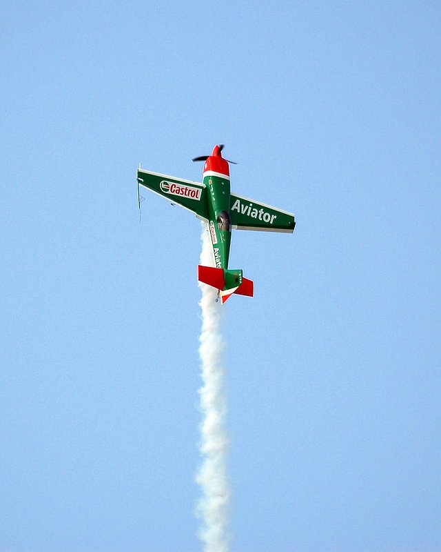 DSC_8431.jpg