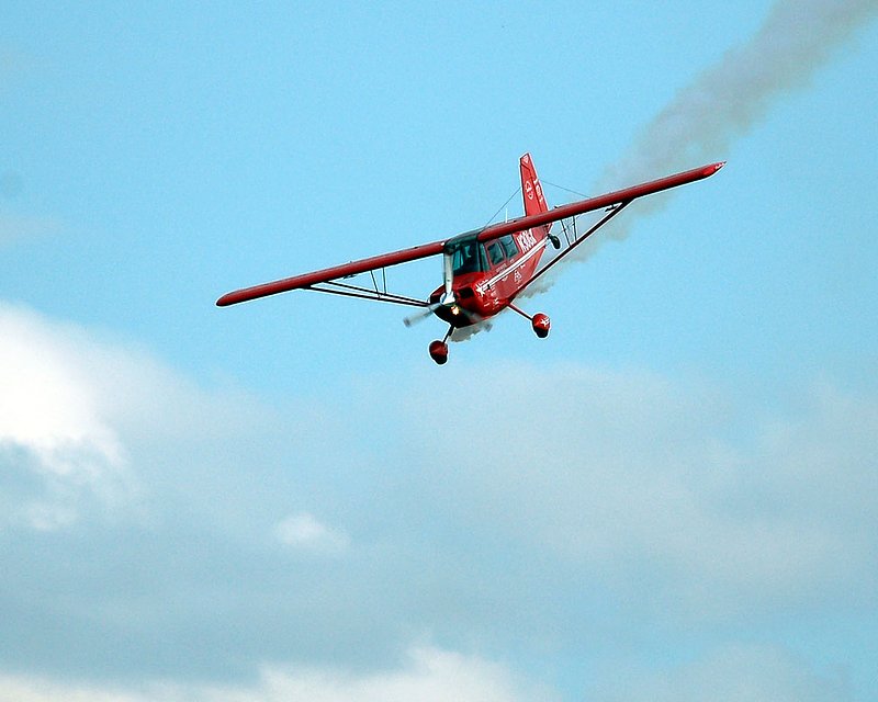 DSC_8453.jpg