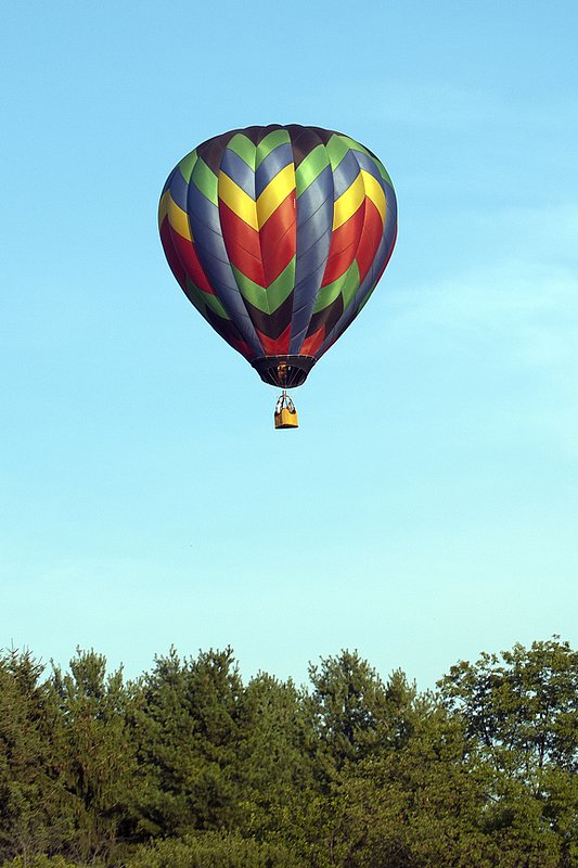 DSC_9301.jpg