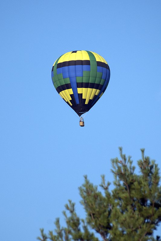 DSC_9309.jpg