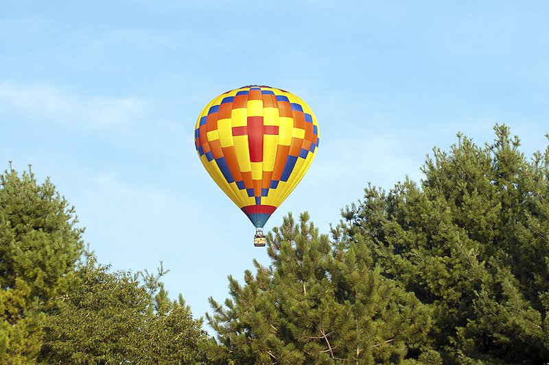 DSC_9314.jpg