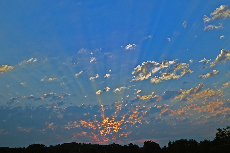 DSC_9131.jpg