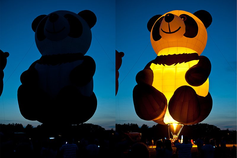 Panda Balloon 2.jpg