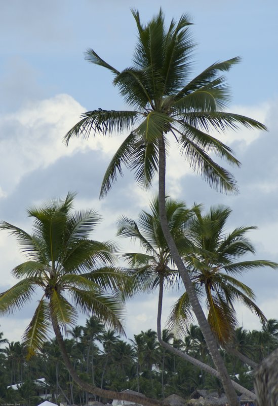 _TDominicanRepublic_008.jpg :: SONY DSC