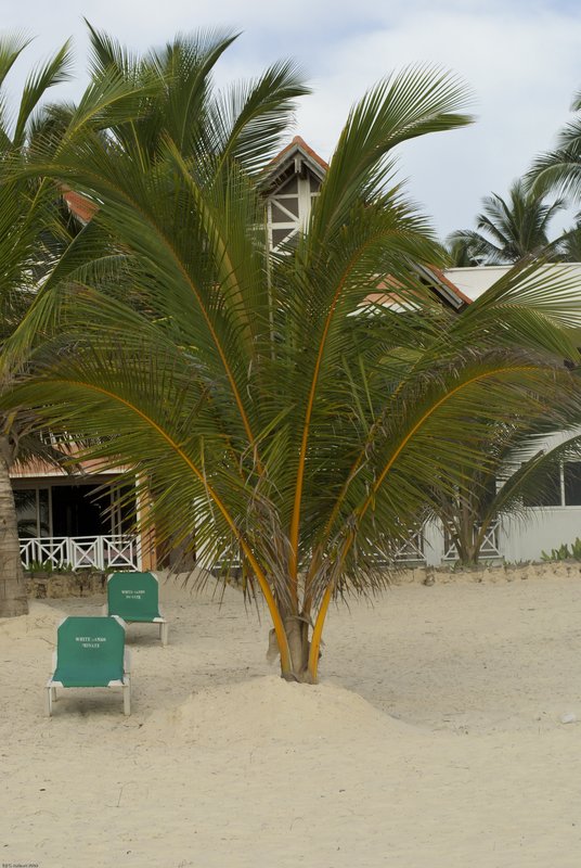 _TDominicanRepublic_022.jpg :: SONY DSC