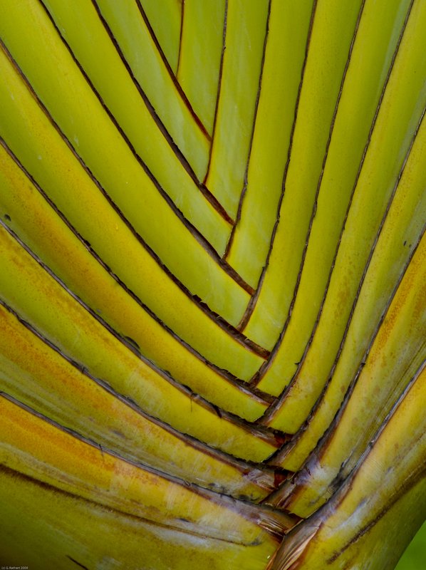 _TDominicanRepublic_037.jpg :: SONY DSC