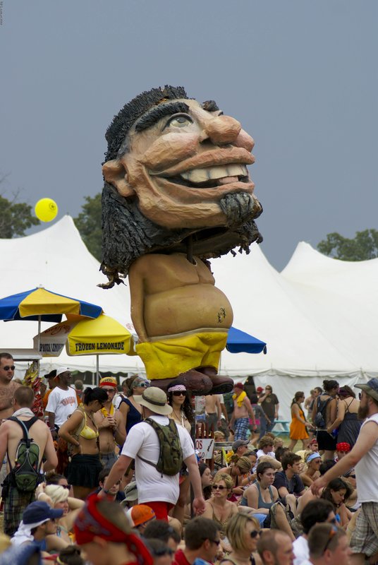 EBonnaroo_028.jpg :: SONY DSC