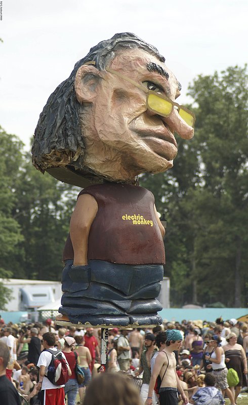 EBonnaroo_045.jpg :: SONY DSC
