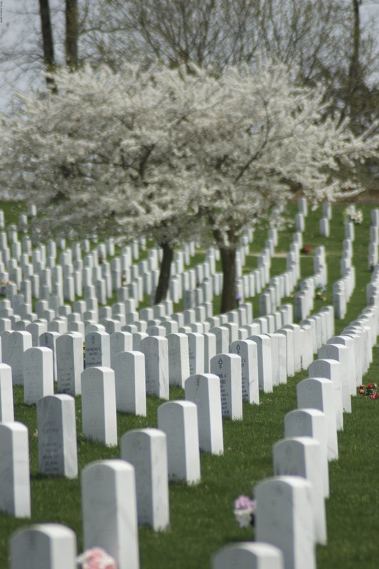 JBcemetary-102.jpg :: SONY DSC