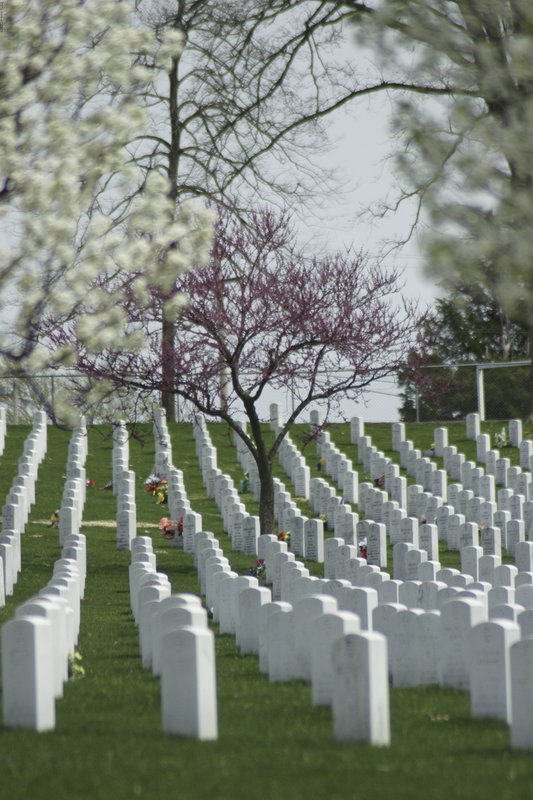 JBcemetary-105.jpg :: SONY DSC