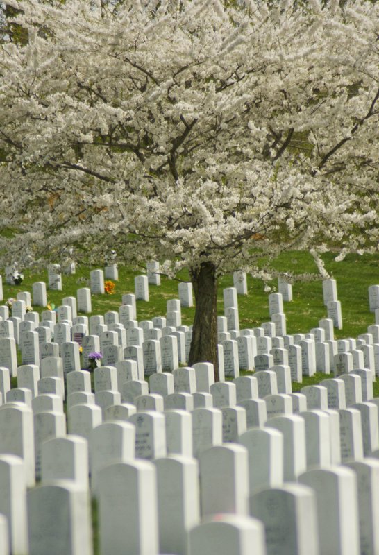 JBcemetary-107.jpg :: SONY DSC