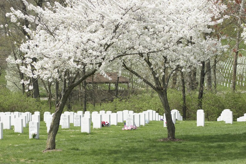 JBcemetary-110.jpg :: SONY DSC