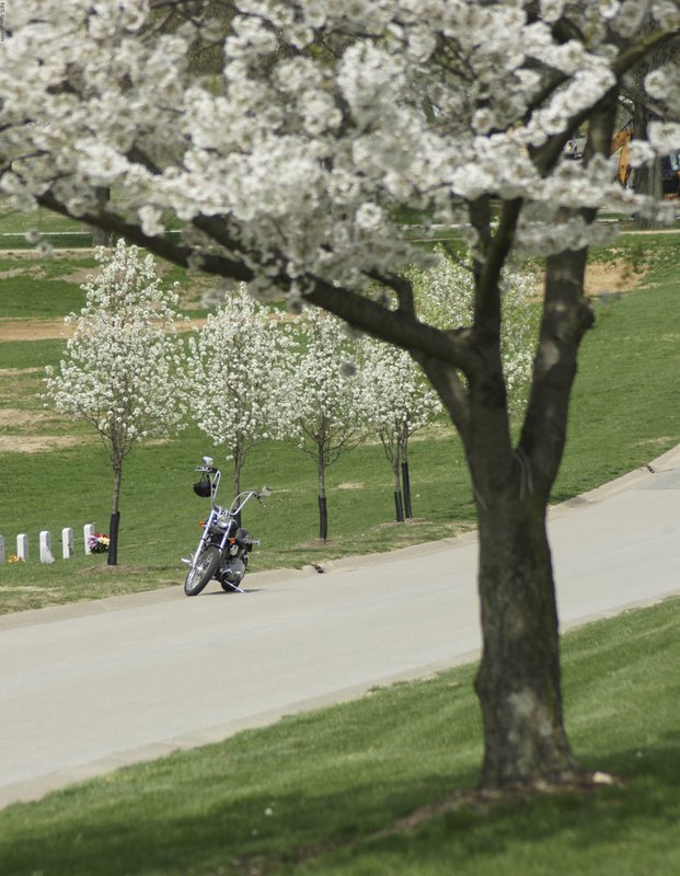 JBcemetary-117.jpg :: SONY DSC