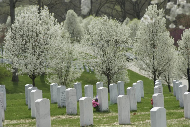 JBcemetary-118.jpg :: SONY DSC