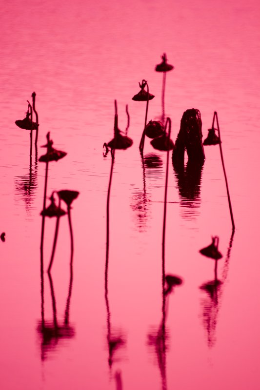 NFall_111.jpg :: (c) G.Rathert Images