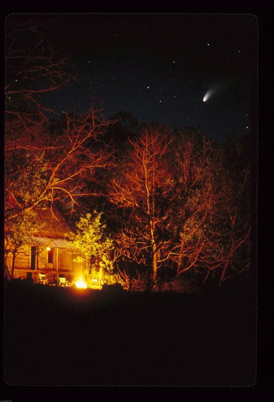 NHBC-1.jpg :: (c) G.Rathert Images