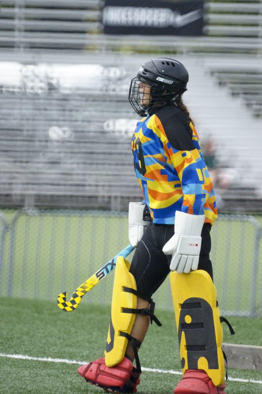 SFH-21.jpg :: SONY DSC