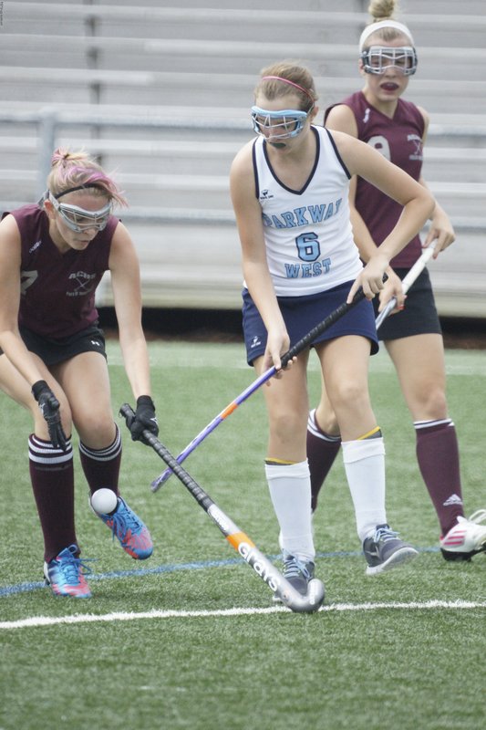 SFH-22.jpg :: SONY DSC