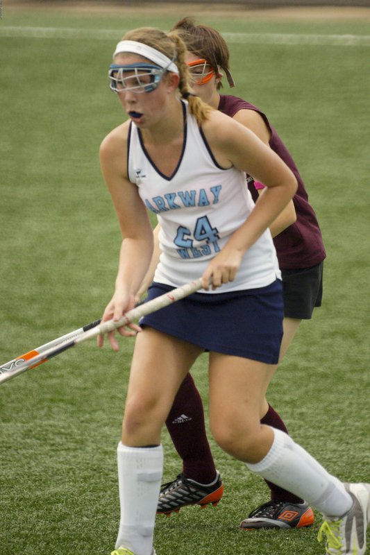 SFH-51.jpg :: SONY DSC