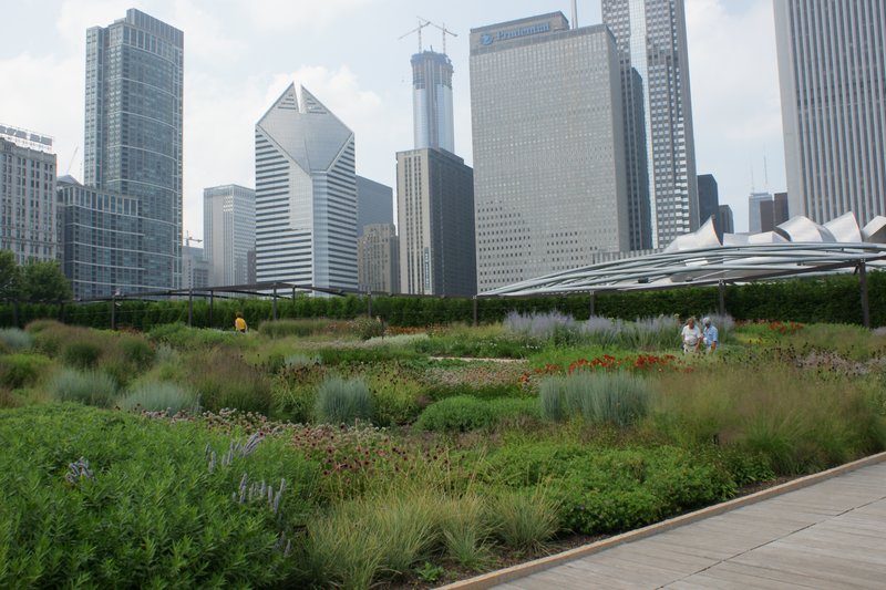TChicago_078.jpg