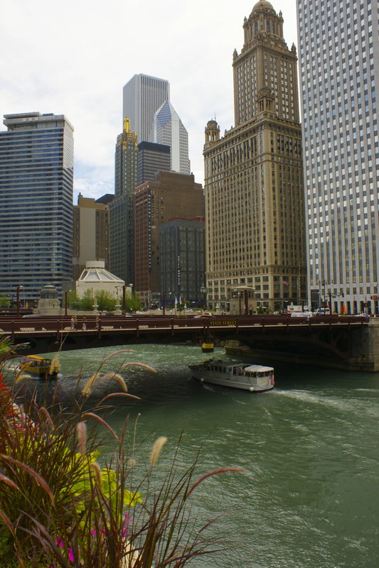 TChicago_0851.jpg :: SONY DSC