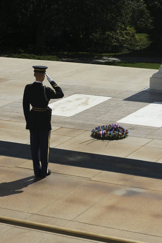 TDC-22.jpg :: (c) G.Rathert Images