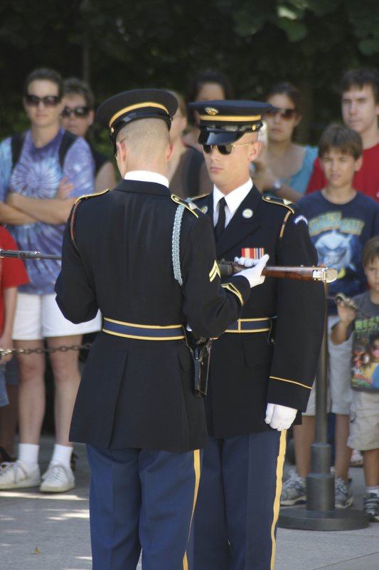 TDC-24.jpg :: SONY DSC