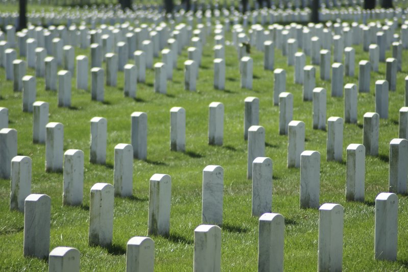 TDC-35.jpg :: SONY DSC