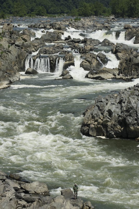 TDC-37.jpg :: SONY DSC