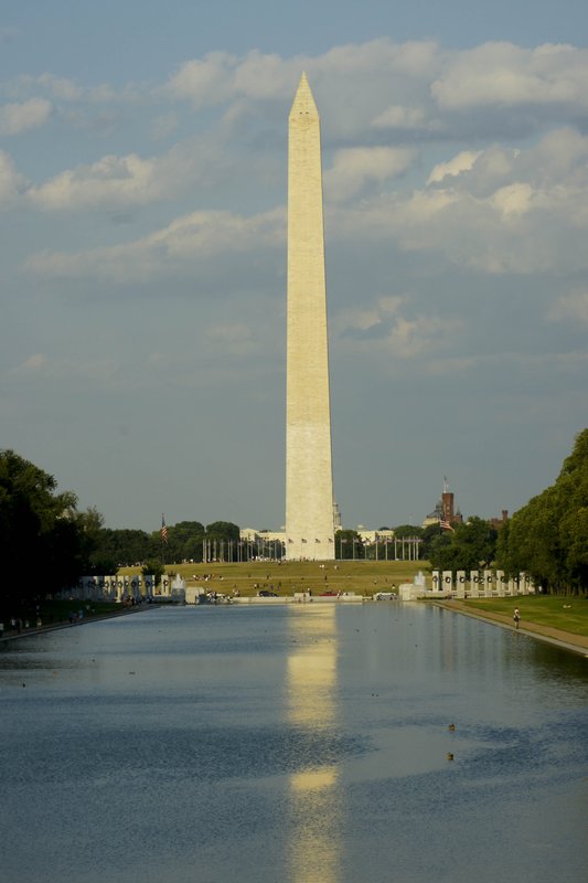 TDC-45.jpg :: SONY DSC