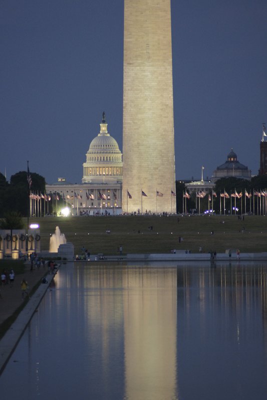 TDC-83.jpg :: SONY DSC