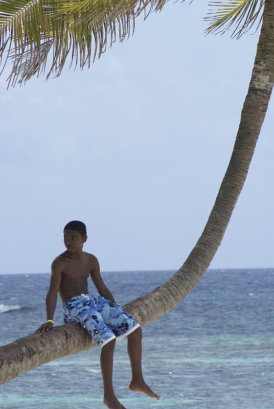 TDominicanRepublic_031.jpg :: (c) G.Rathert Images