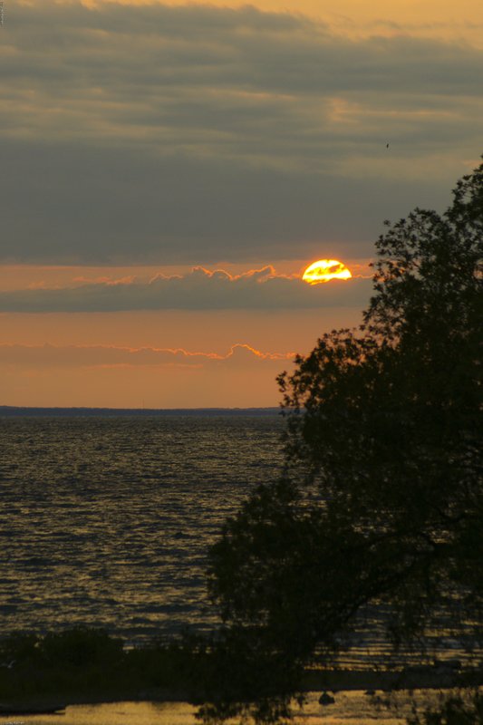 TMichigan-178-2.jpg :: SONY DSC