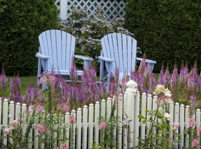 TMichigan-260.jpg :: SONY DSC